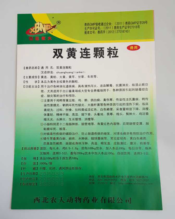 ������´������ͼƬ