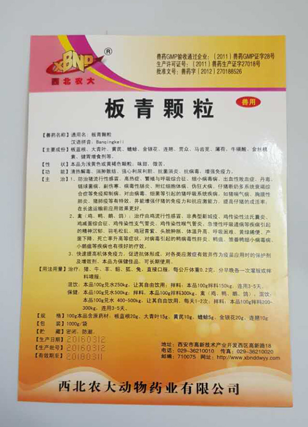 ������´������ͼƬ